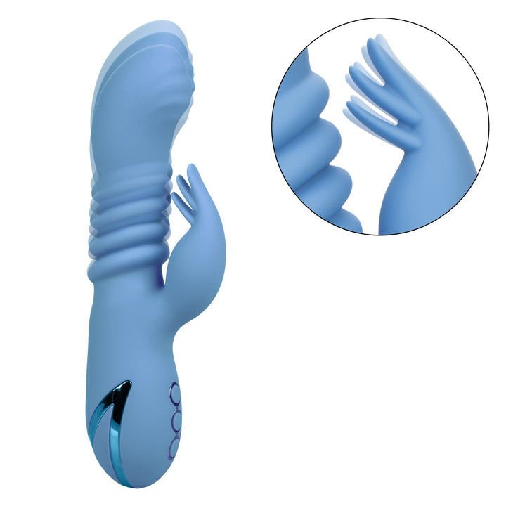 California Dreaming Santa Cruz 'Coaster - VIBRATORS - Romeo Romeo