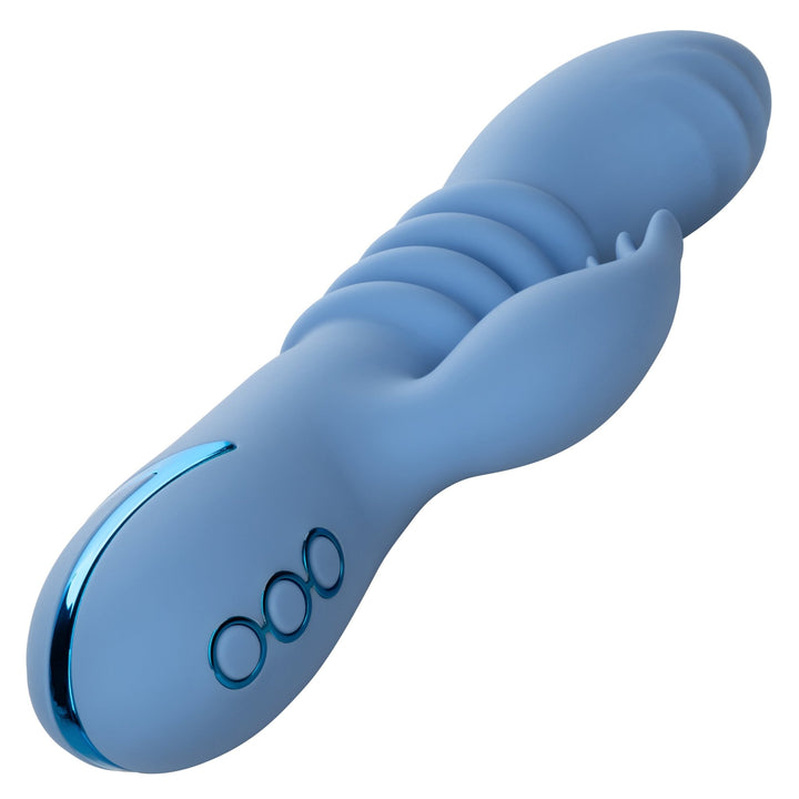 California Dreaming Santa Cruz 'Coaster - VIBRATORS - Romeo Romeo