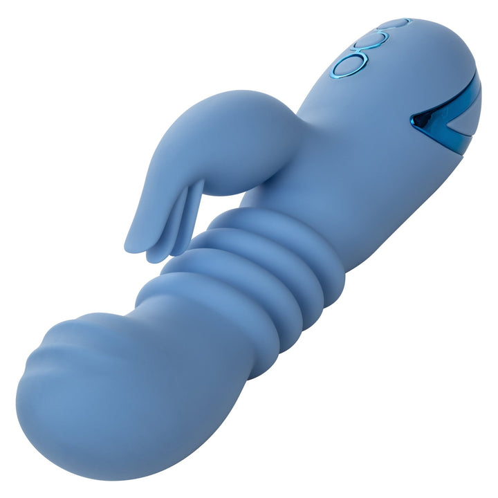 California Dreaming Santa Cruz 'Coaster - VIBRATORS - Romeo Romeo