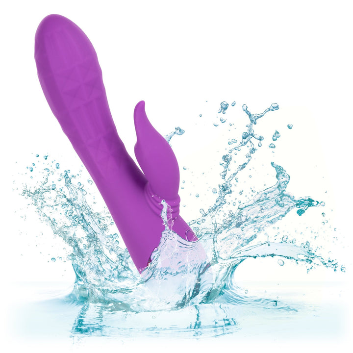 California Dreaming Valley Vamp - VIBRATORS - Romeo Romeo