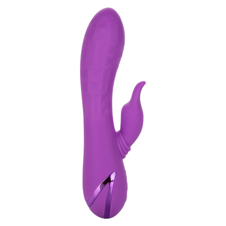 California Dreaming Valley Vamp - VIBRATORS - Romeo Romeo