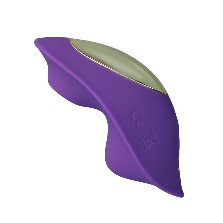 Link Paige App - Controlled Panty Vibe - VIBRATORS - Romeo Romeo