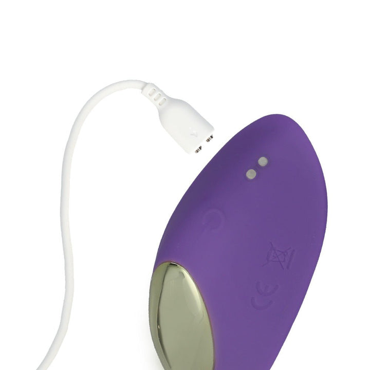 Link Paige App - Controlled Panty Vibe - VIBRATORS - Romeo Romeo